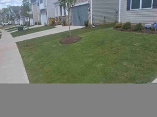 Stan D.'s lawn service service result