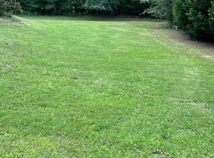 Sam R.'s turf care service result