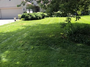 David R.'s lawn care service result