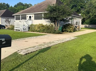 Torris P.'s turf care service result