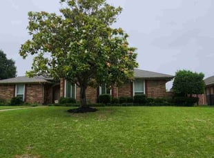 Jaime C.'s grass maintenance service result