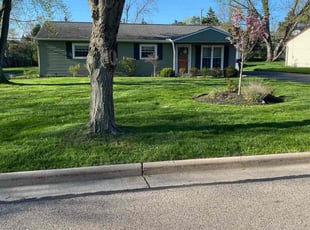 Arien H.'s grass maintenance service result