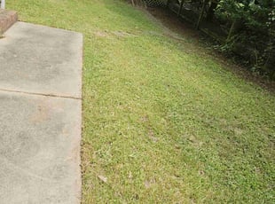 Aimee B.'s lawn service service result