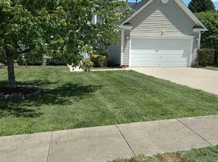 Lynton T.'s grass maintenance service result