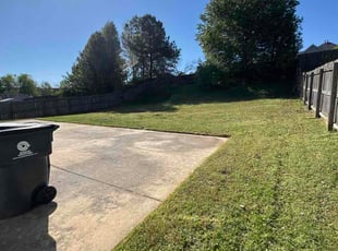 Christoper N.'s turf care service result