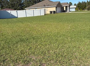 Alex K.'s grass cutting service result