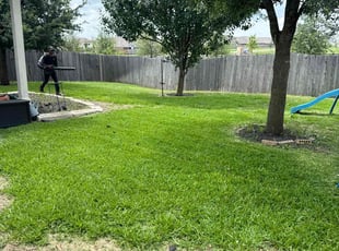 Karl G.'s grass maintenance service result