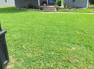 Samantha G.'s Front yard only service result