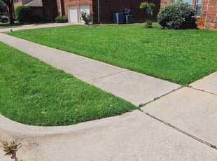 Barry M.'s turf care service result