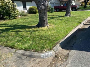 Michael B.'s lawn service service result