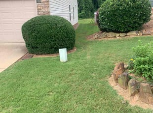 LaQuita W.'s turf care service result