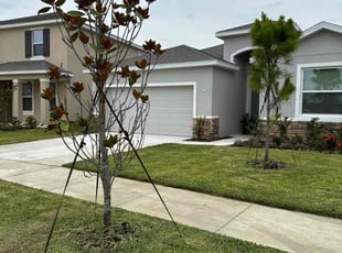 Michele V.'s lawn service service result