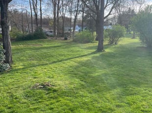 Richard C.'s lawn service service result