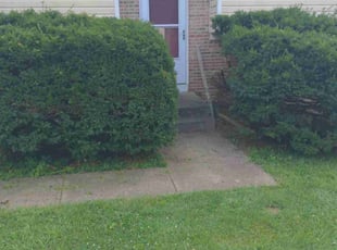 Robert R.'s Bush Trimming service result