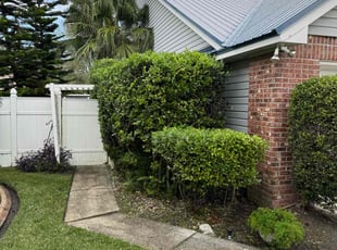 Kristen K.'s Bush Trimming service result