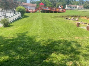 Shawn P.'s turf maintenance service result