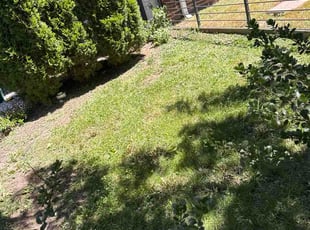 Linda W.'s lawn care service result