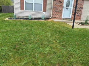 Ann K.'s Flower Bed Weeding service result