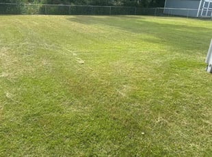 Marjorie H.'s lawn maintenance service result