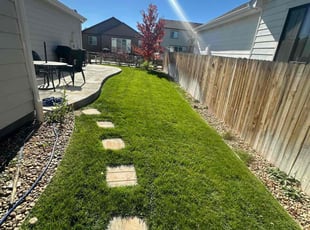 Valerie R.'s turf care service result