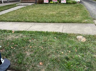 Betty B.'s lawn care service result