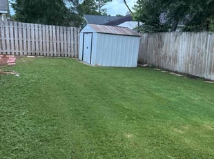 Anne N.'s lawn maintenance service result