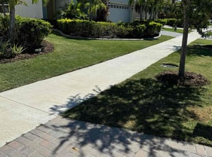 Nancy B.'s lawn maintenance service result