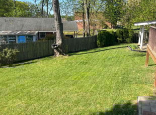 Nae A.'s lawn care service result