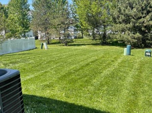 Bill S.'s turf maintenance service result