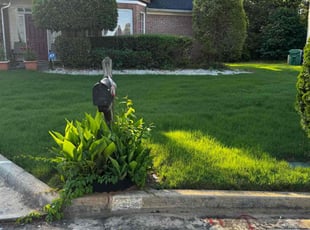 Jeni A.'s lawn service service result