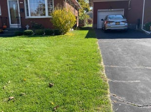 Gail H.'s lawn maintenance service result