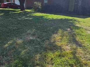 Khalisha M.'s grass maintenance service result