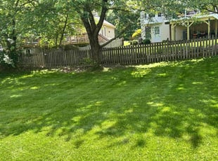Storm E.'s yard work service result