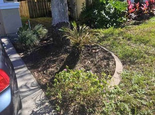 Penelope M.'s Bush Trimming service result