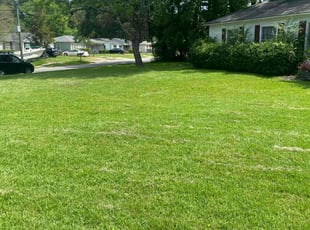 Donald C.'s grass cutting service result