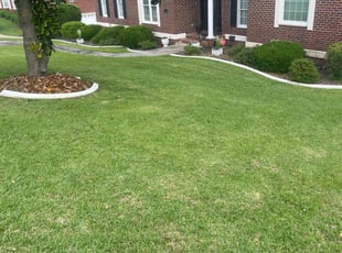 Katie K.'s grass maintenance service result