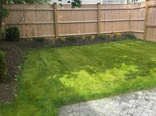 Philip C.'s yard maintenance service result