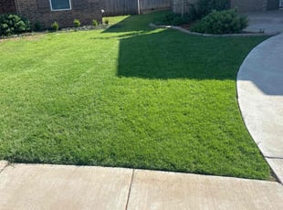 Rhiannon S.'s grass cutting service result