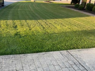 Jaris C.'s lawn care service result