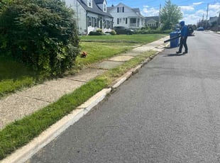 Michelle C.'s Long Grass Cleanup service result