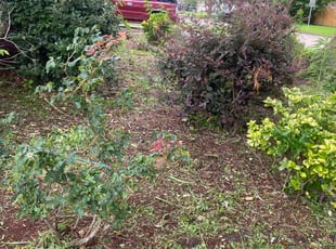 Shelly T.'s Flower Bed Weeding service result