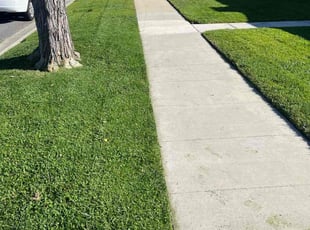 Linda F.'s lawn care service result