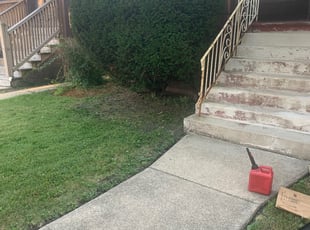 Sunita S.'s Bush Trimming service result