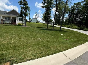 Christina C.'s grass maintenance service result