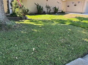 Sandra L.'s turf care service result