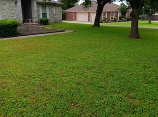 Lisa J.'s grass cutting service result