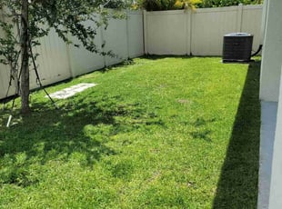 Michael W.'s grass maintenance service result