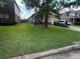 Francisco I.'s turf maintenance service result