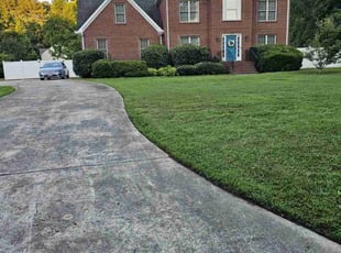 Randy G.'s turf maintenance service result
