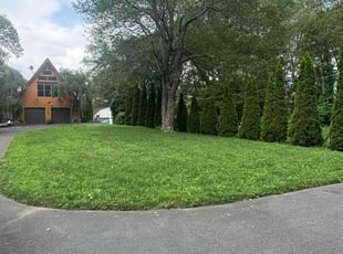 Chris R.'s lawn maintenance service result